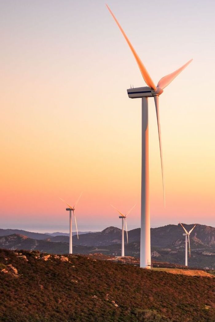 diseño sin título 1