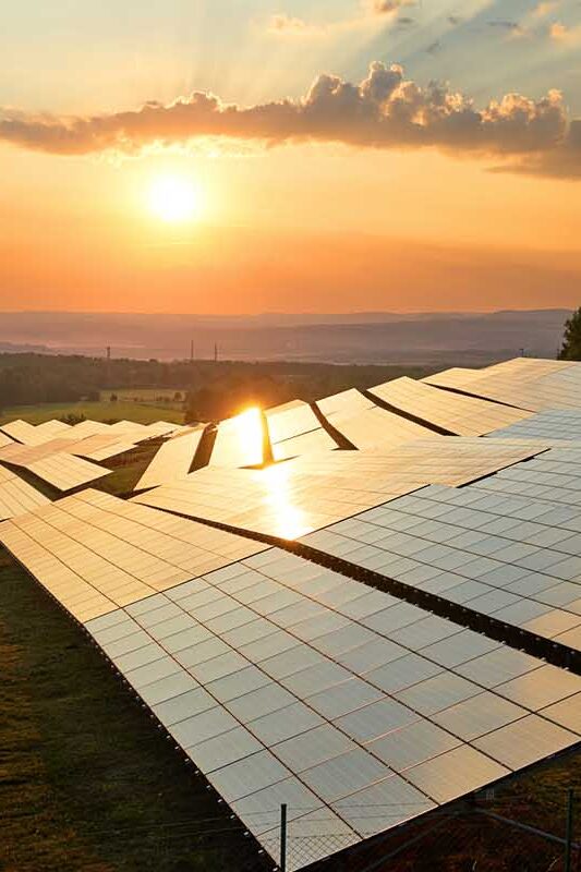 placas solares en el campo